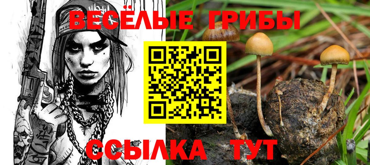 Новочеркасск  Псилоцибиновые грибы мухоморы  Вход с VPN 