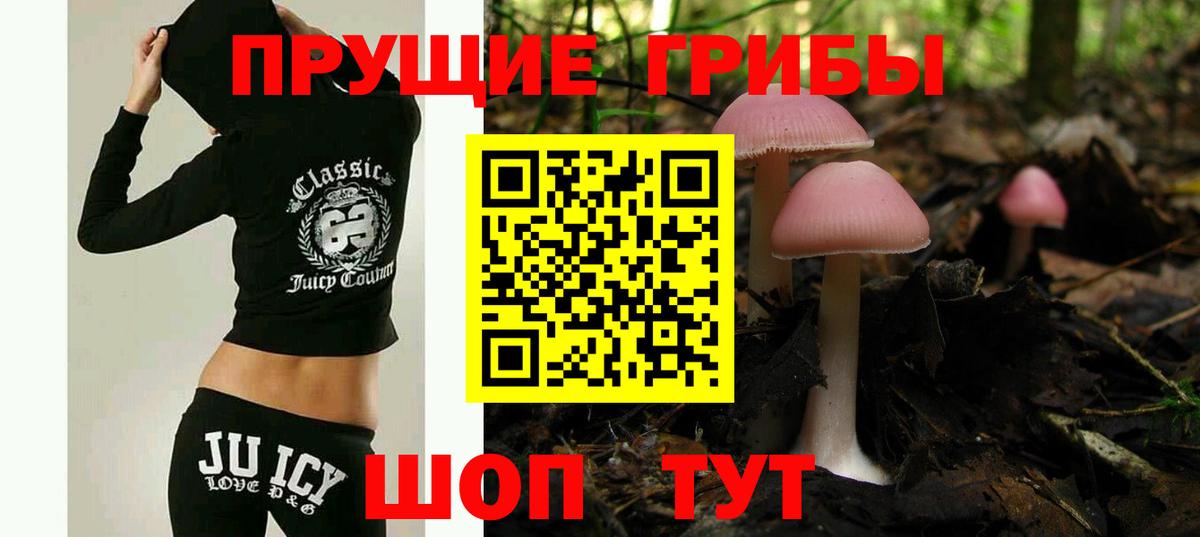 Галлюциногенные грибы прущие грибы Новочеркасск